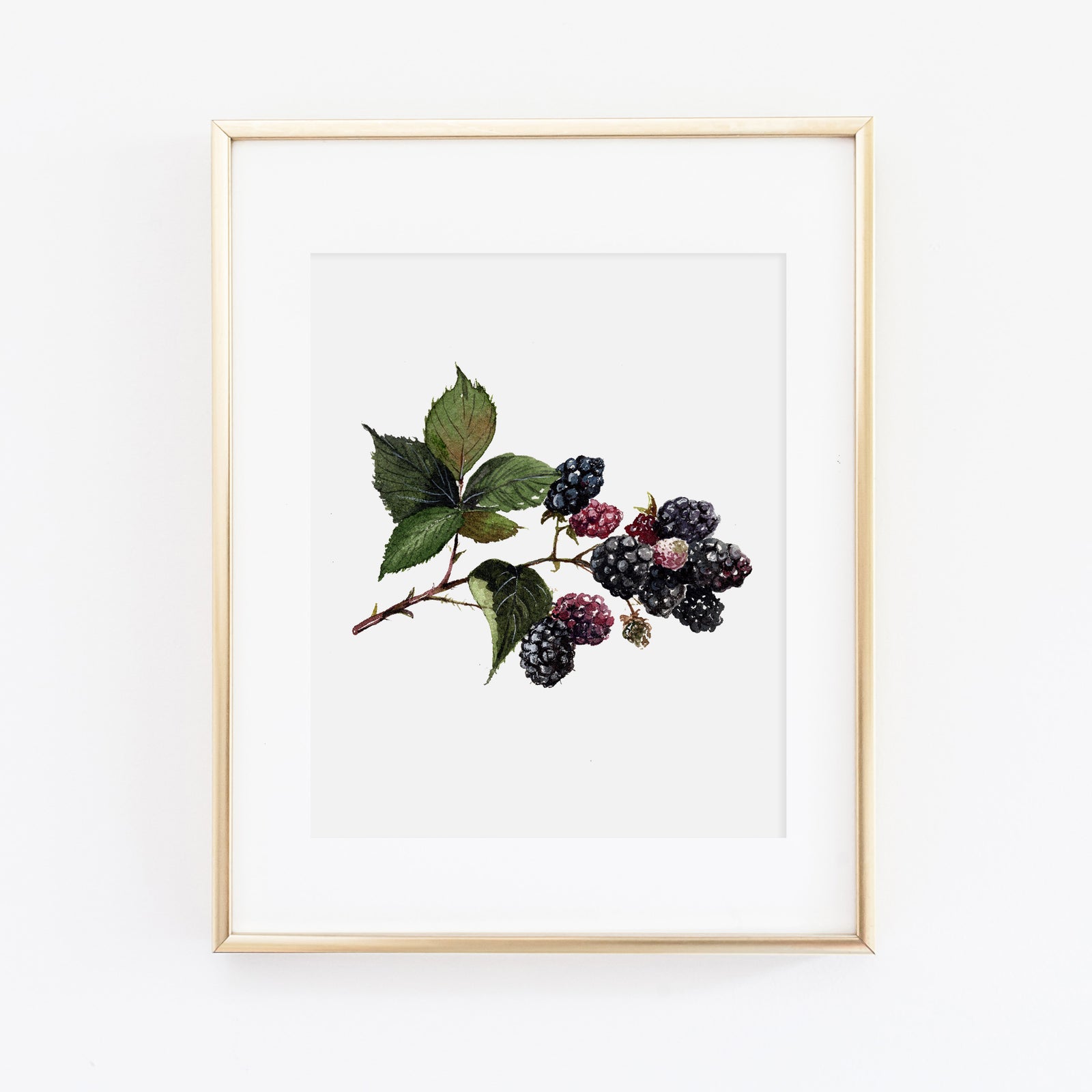 Blackberry Art Print