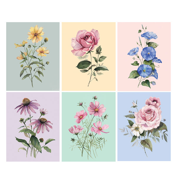 Florals of the Farm Assorted Greeting Card Box Set of 6
