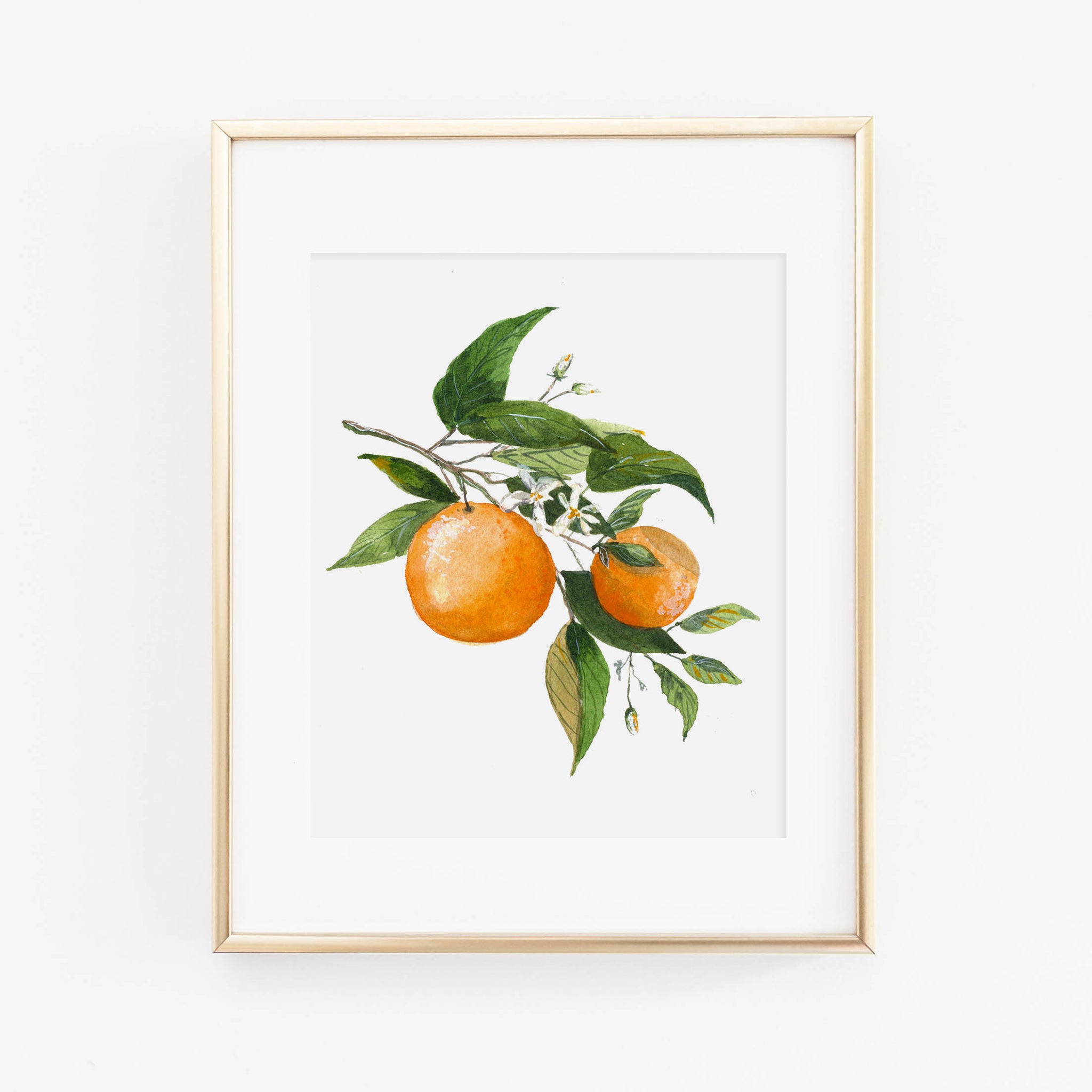 Orange Blossom Art Print – Cami Monet