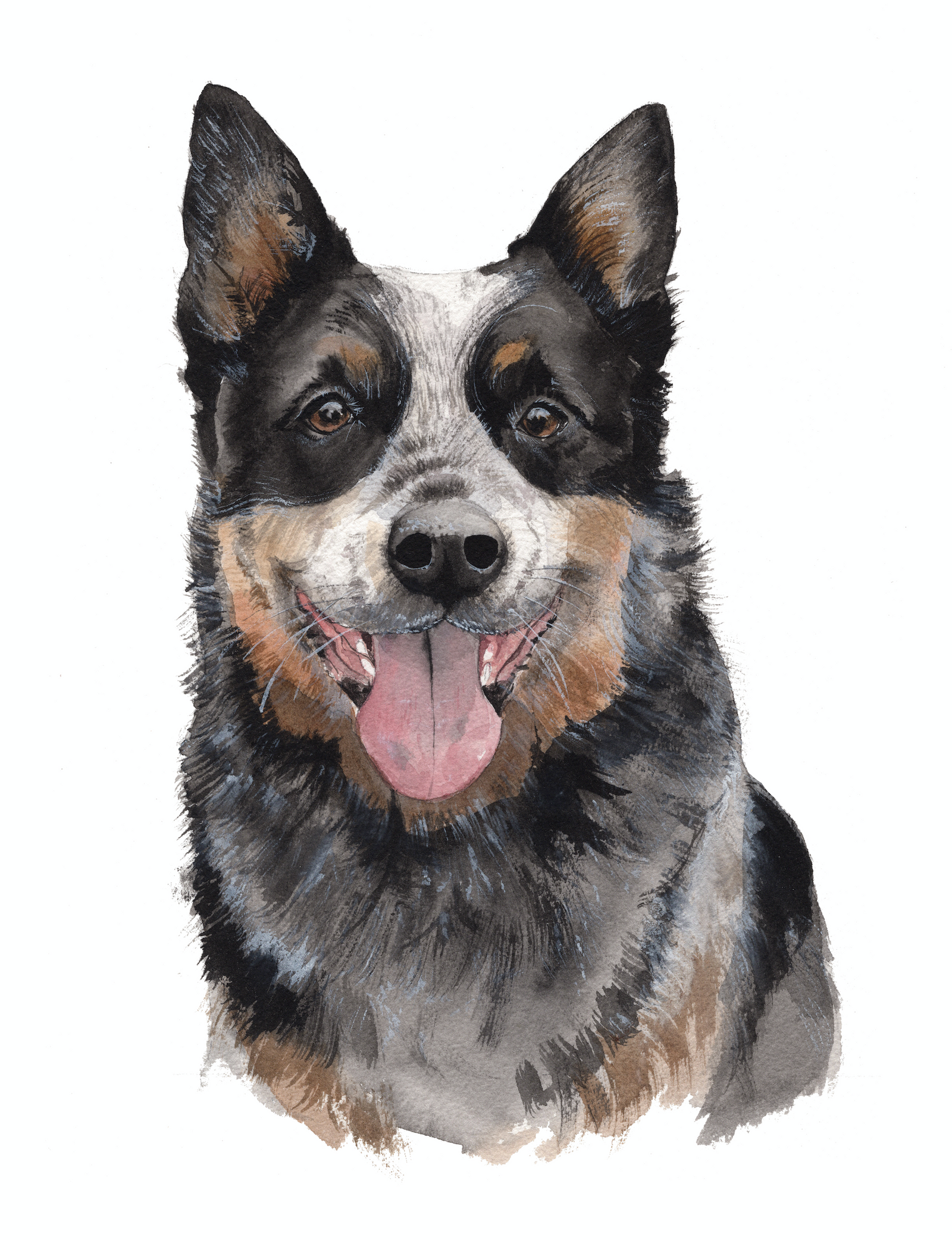 Custom Watercolor Pet Portrait
