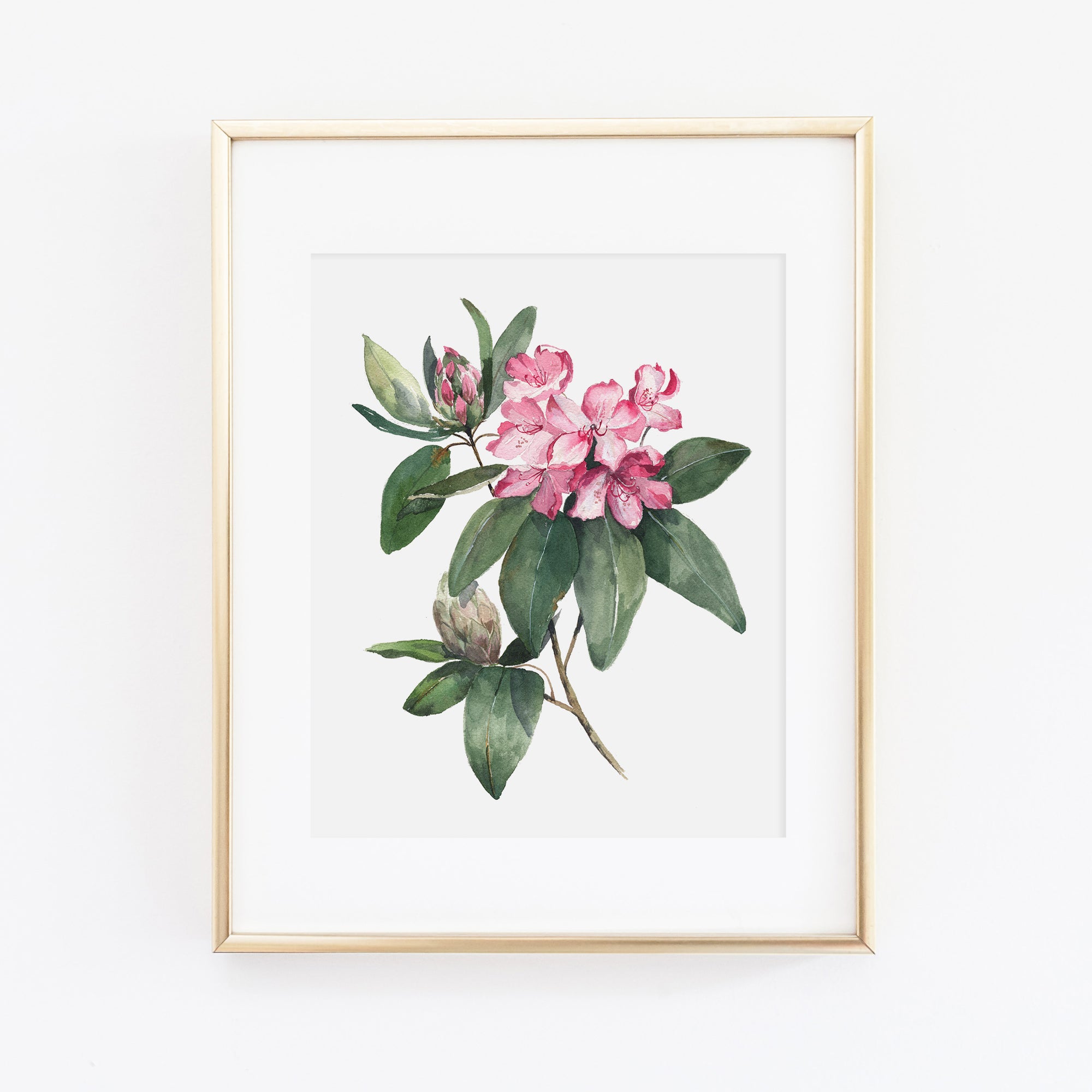 Rhododendron Art Print