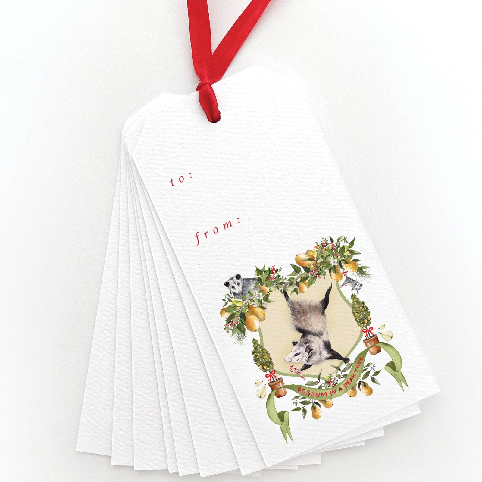 Possum in a Pear Tree Gift Tags