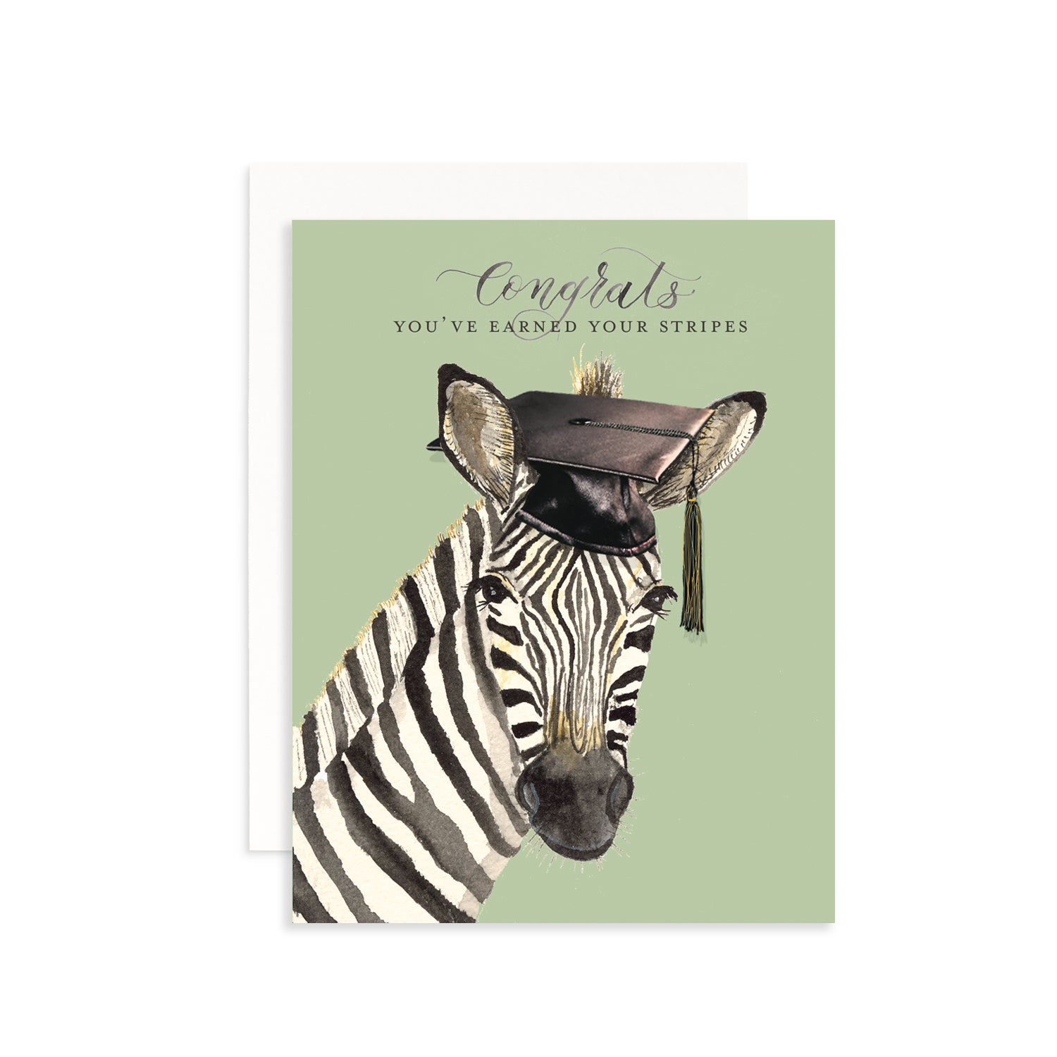 You've Earned Your Stripes Greeting Card
