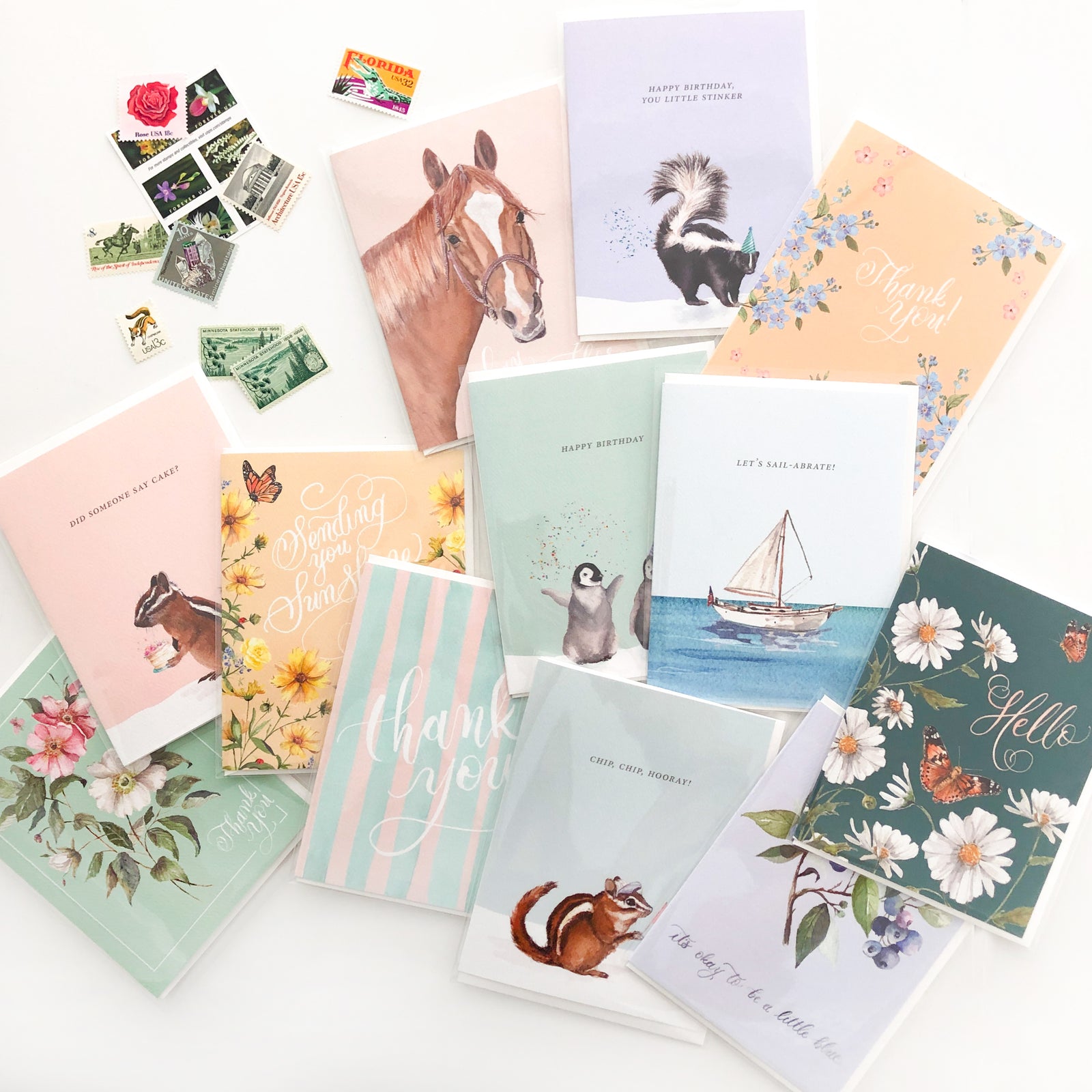 Delightful Dozen Bundle Box