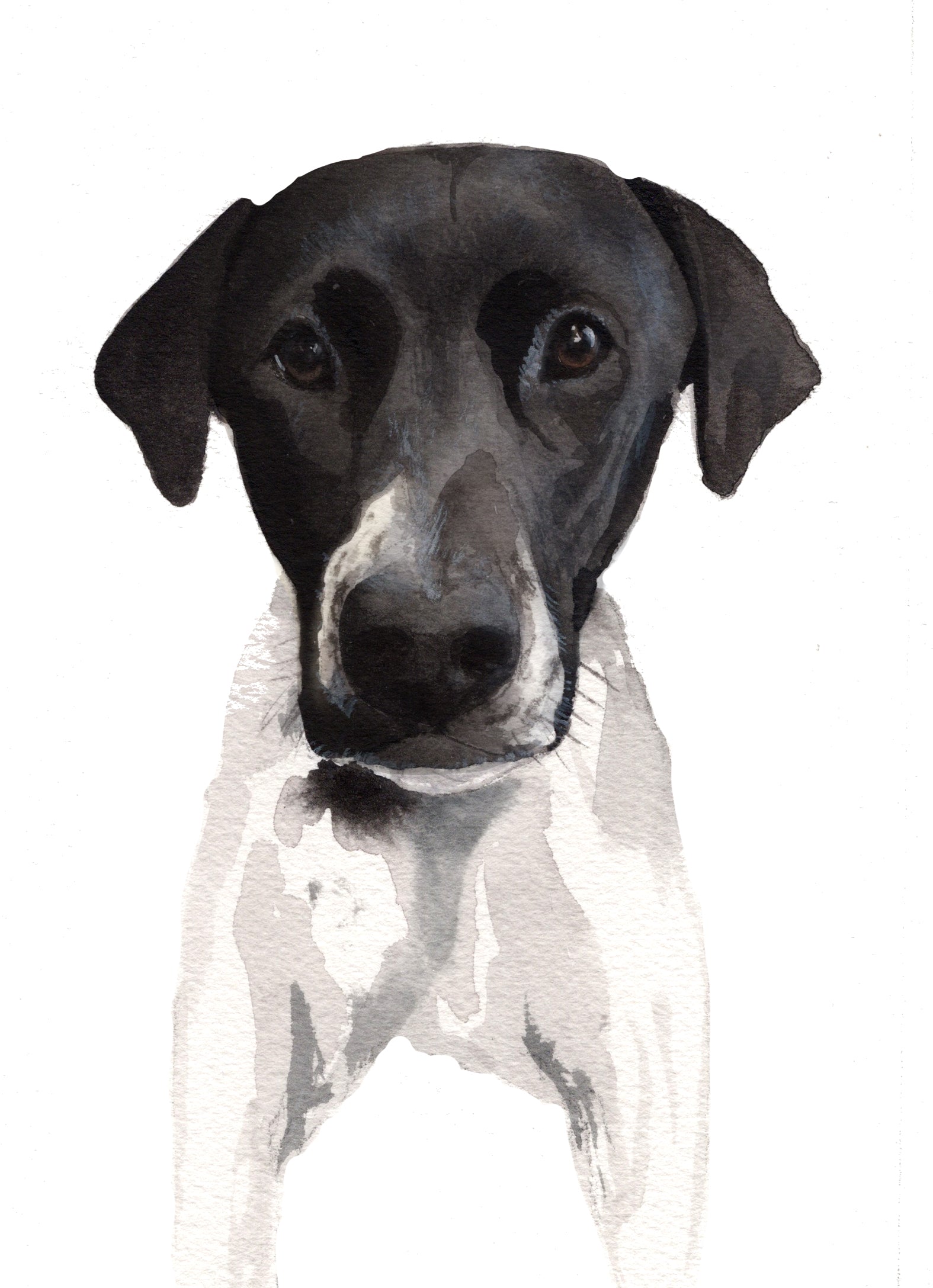 *Mini* Custom Watercolor Pet Portrait