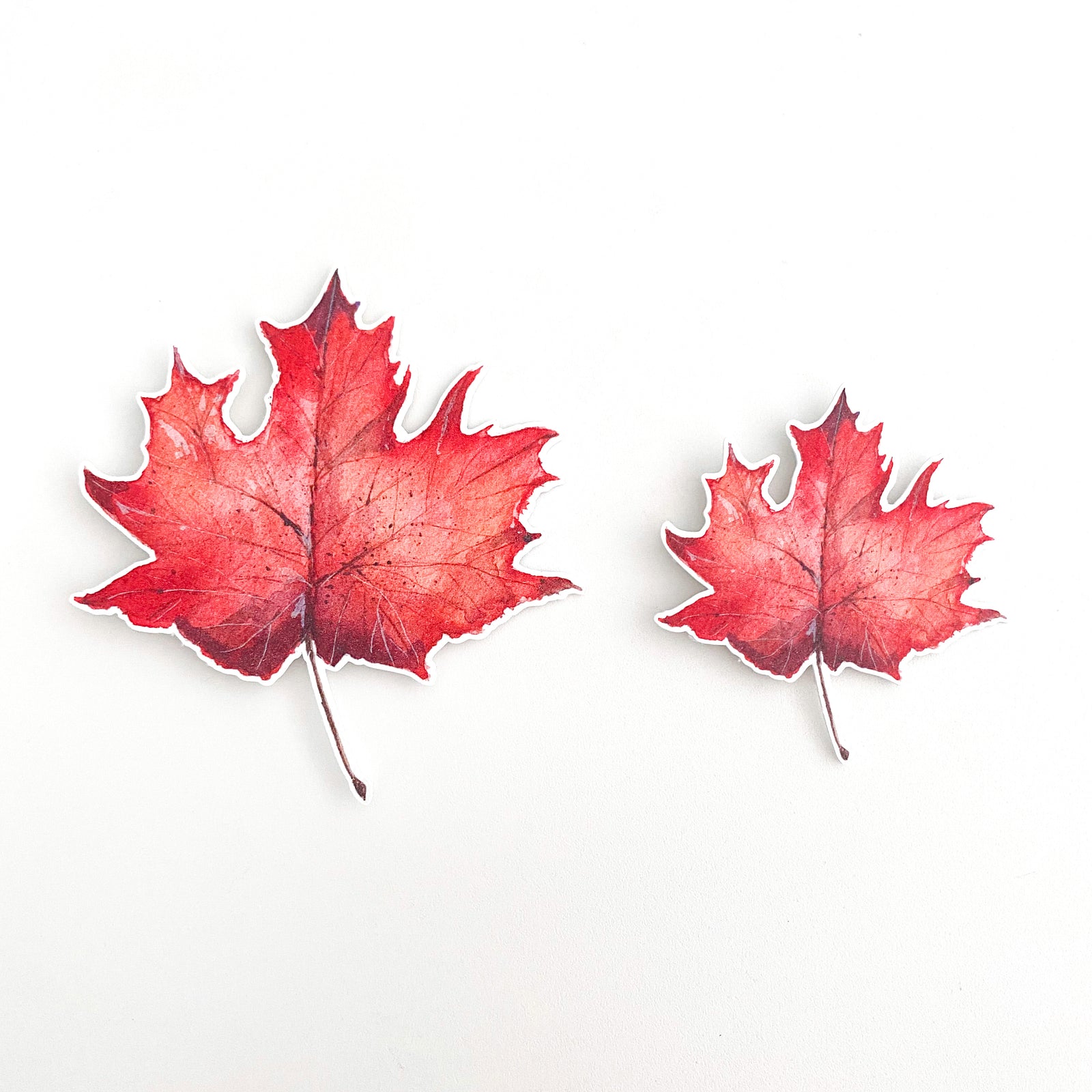 Fall Leaves Party Punchies