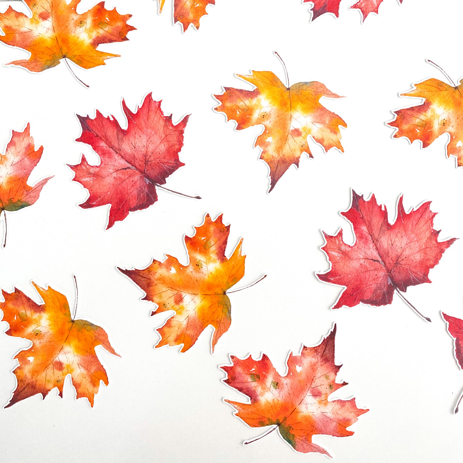 Fall Leaves Party Punchies