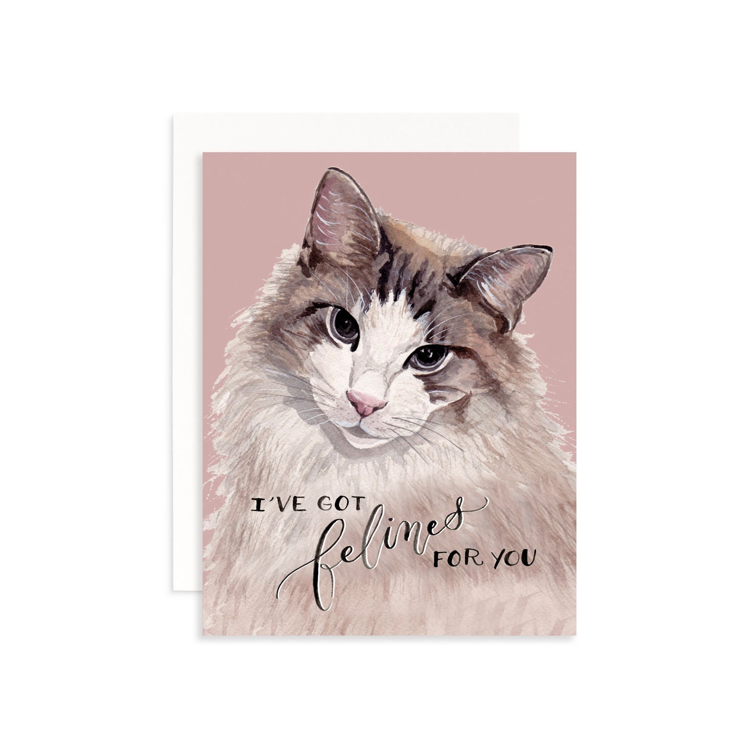 I've Got Felines For You Greeting Card