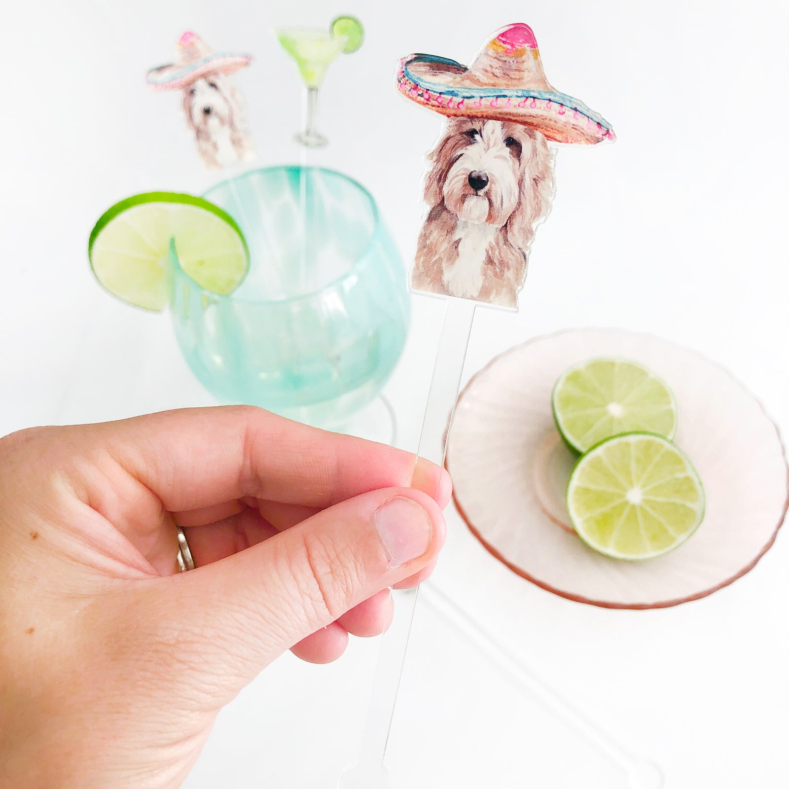 Furry Fiesta Acrylic Stir Sticks