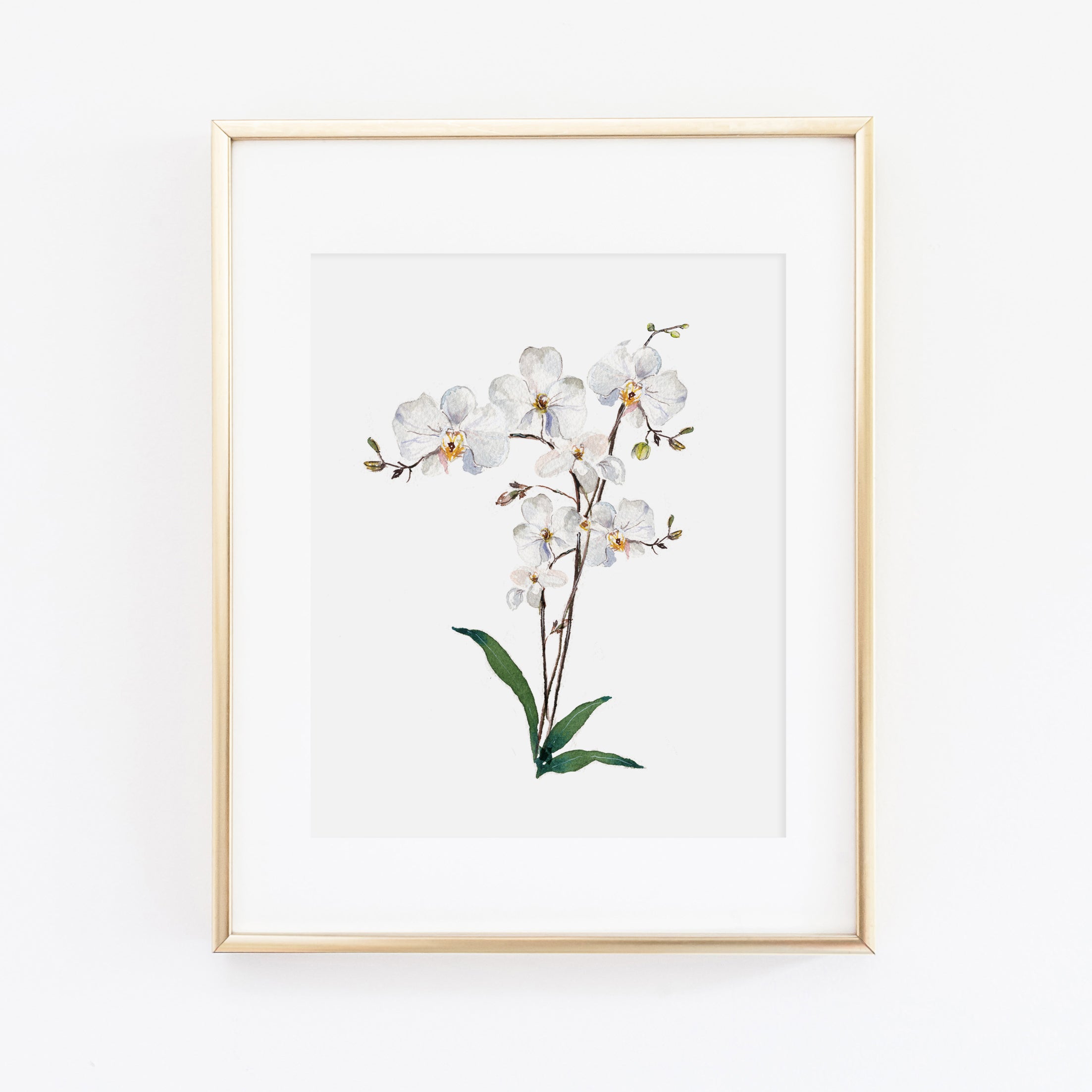 Orchid Art Print – Cami Monet