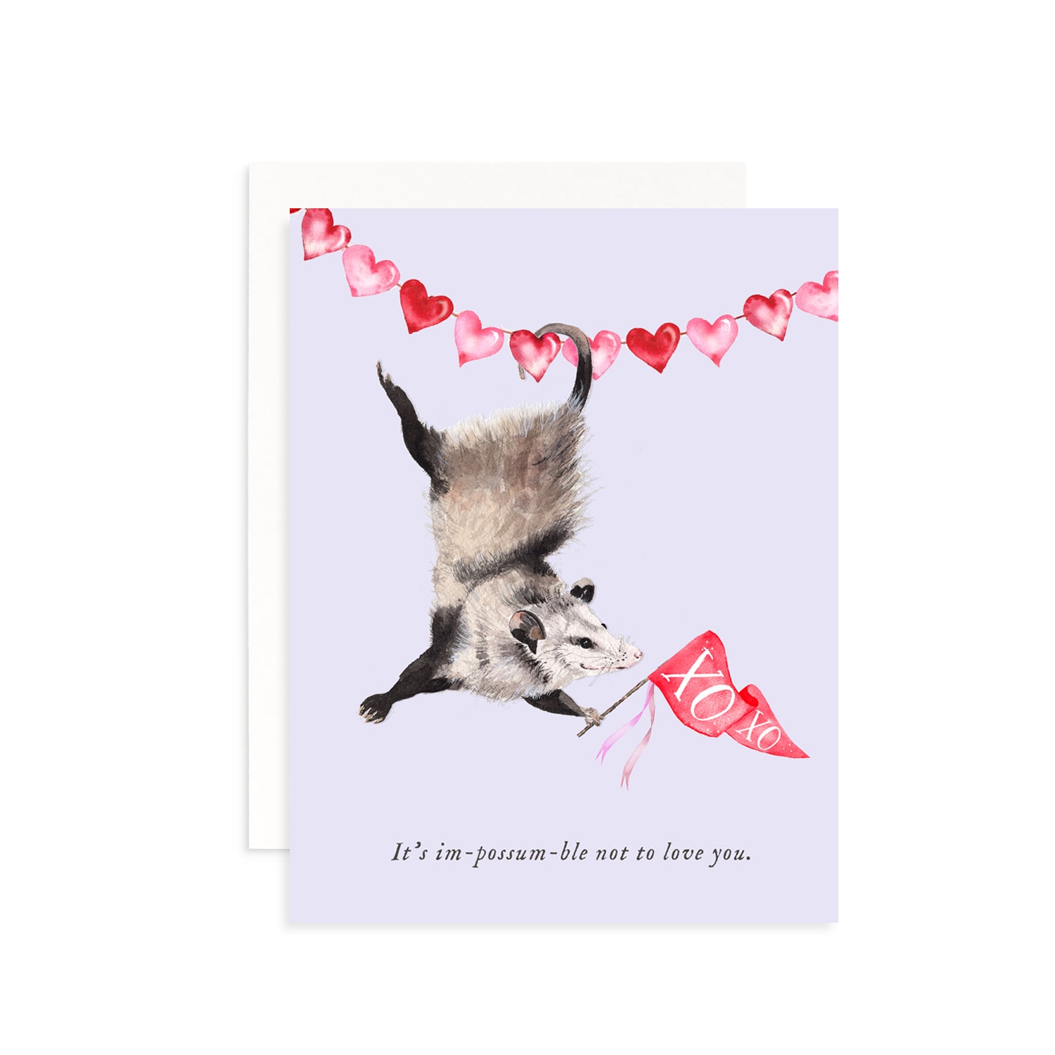 It's im-possum-ble Not to Love You Valentine's Day Greeting Card