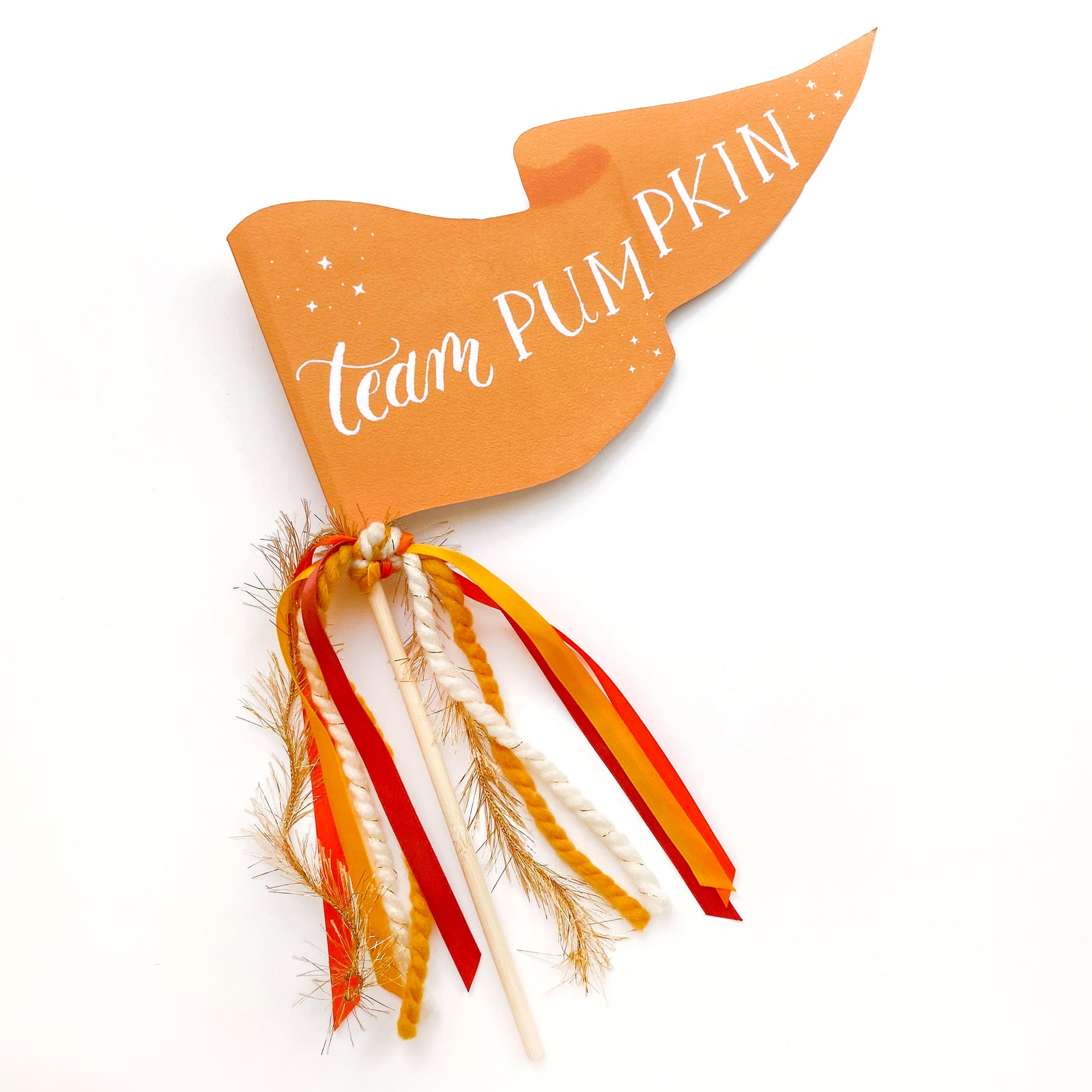 Team Pumpkin Party Pennant