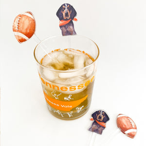 It's Football Time in Tennessee Acrylic Stir Sticks