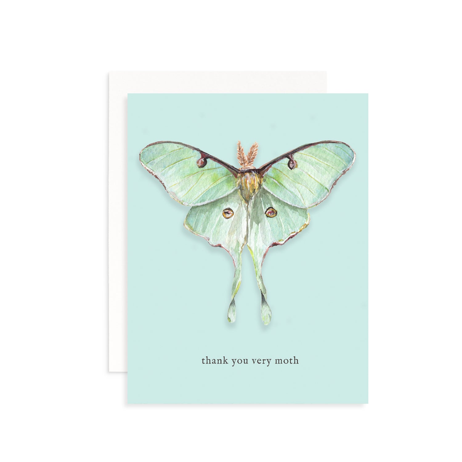 Thank You Very Moth Greeting Card