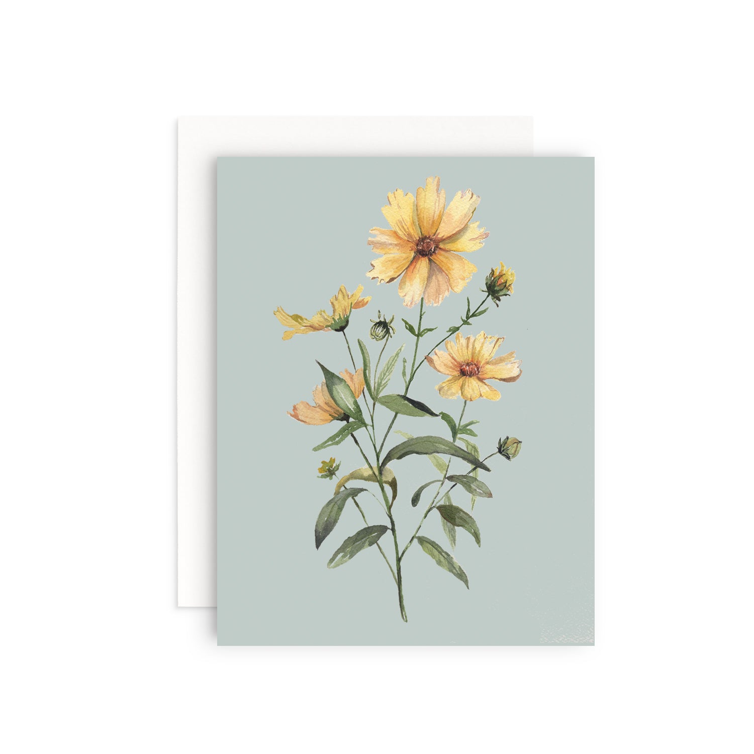 Coreopsis Greeting Card