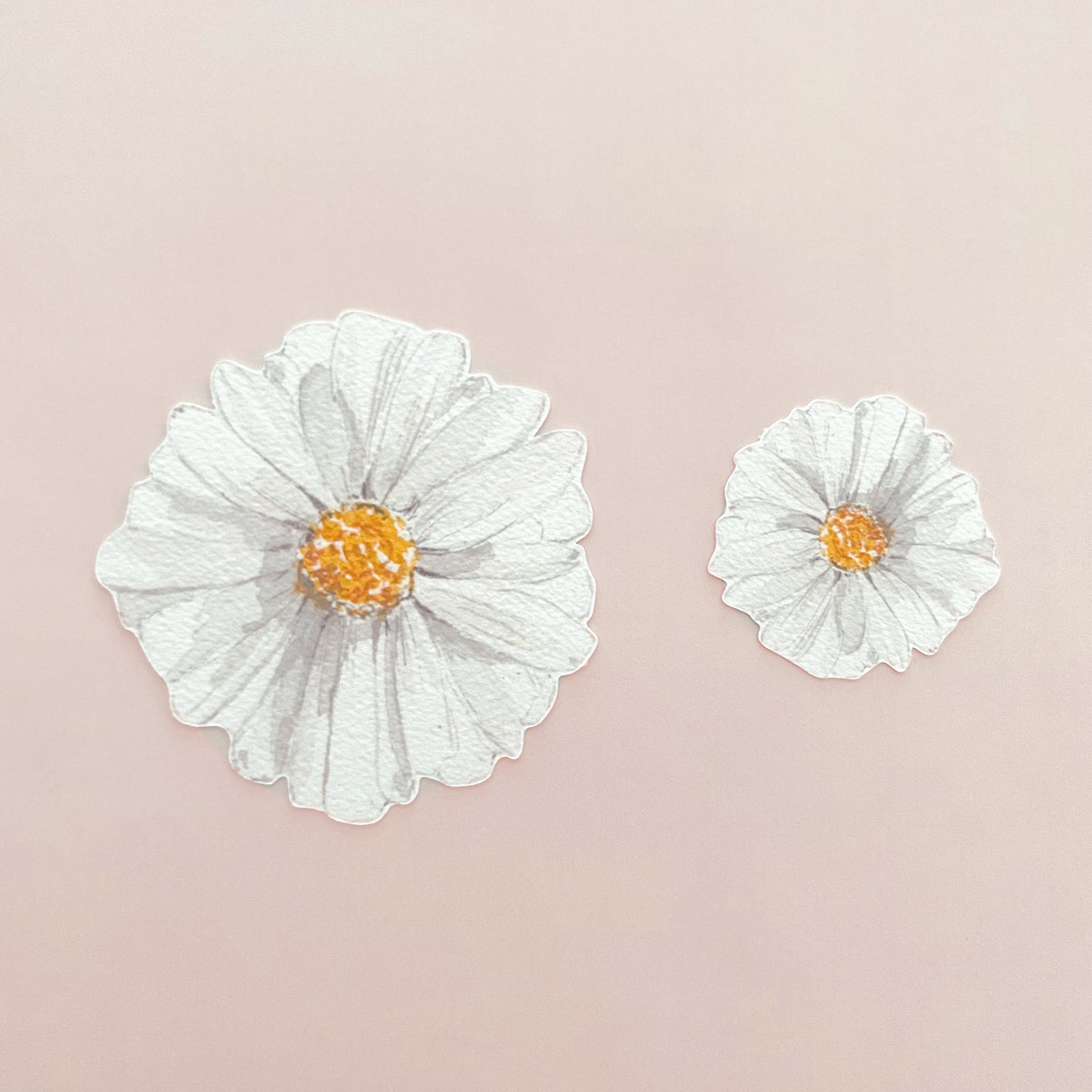 Daisy Party Punchies