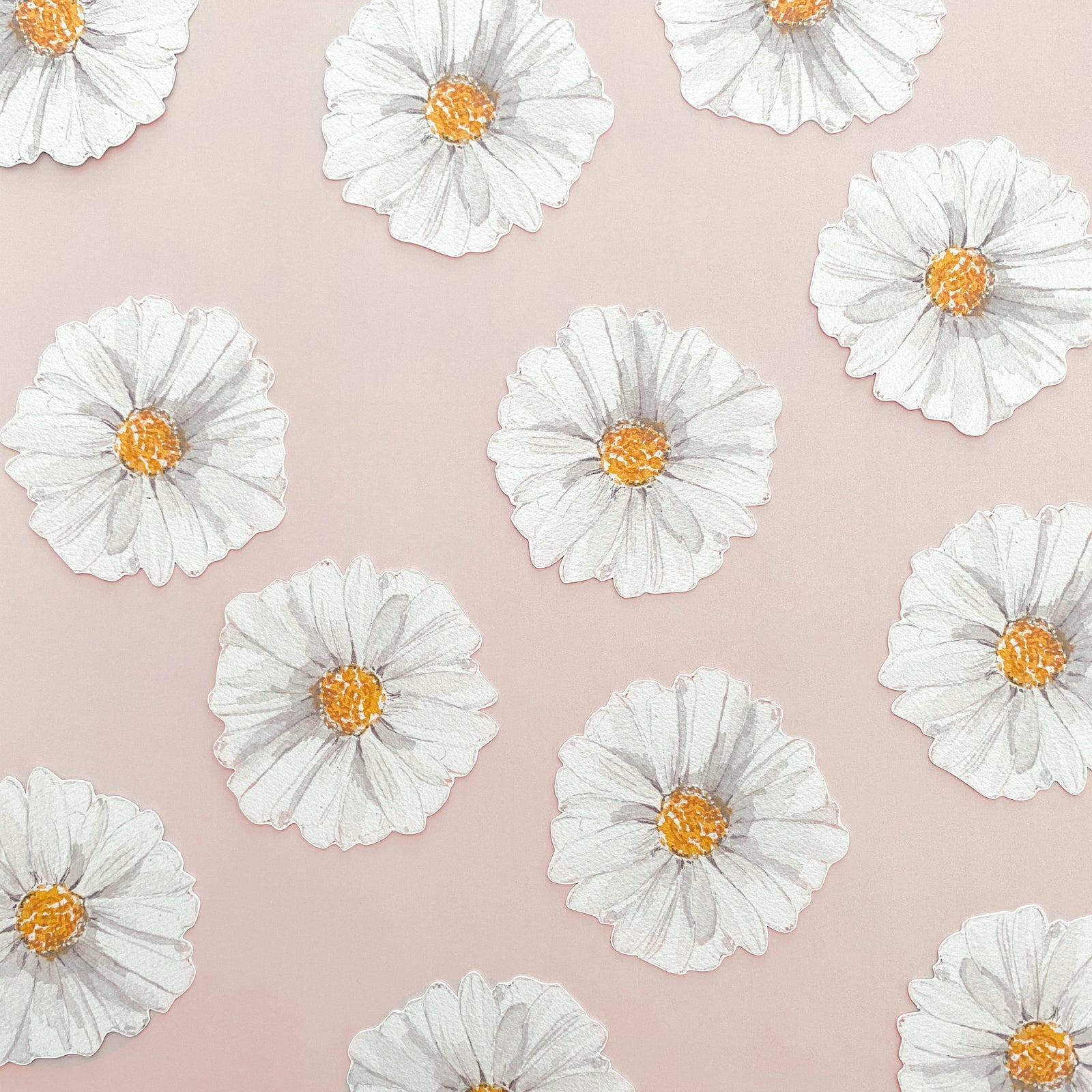 Daisy Party Punchies