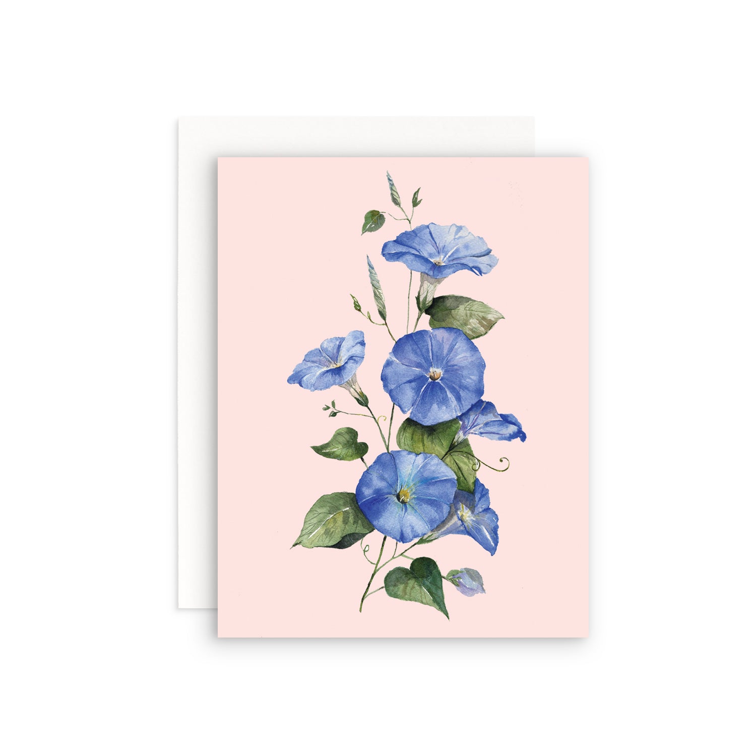 Morning Glory Greeting Card