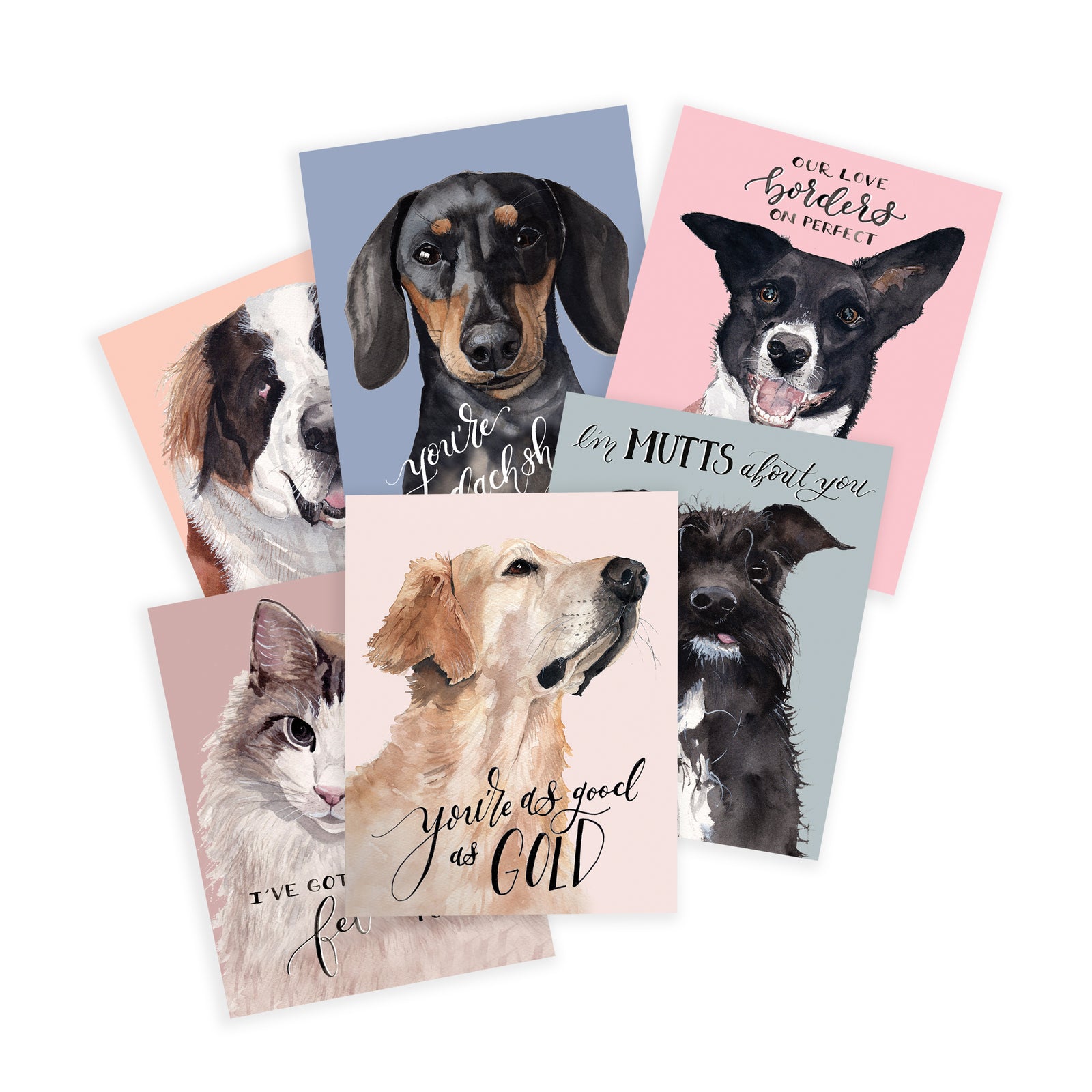 Valentine's Day Pets Assorted Greeting Card Box Set